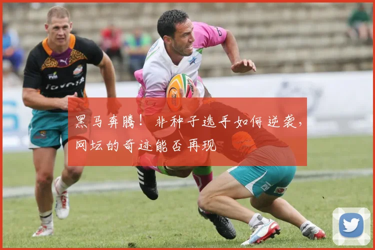 黑马奔腾!非种子选手如何逆袭,网坛的奇迹能否再现