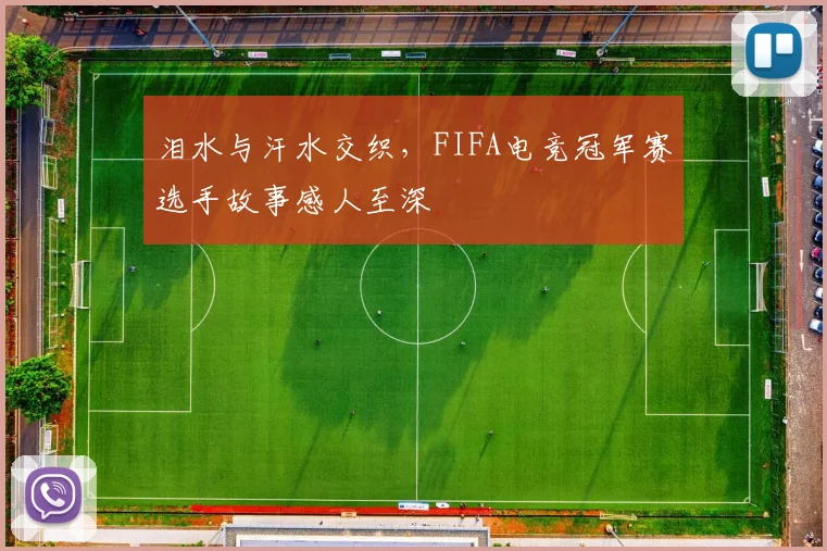 泪水与汗水交织，FIFA电竞冠军赛选手故事感人至深