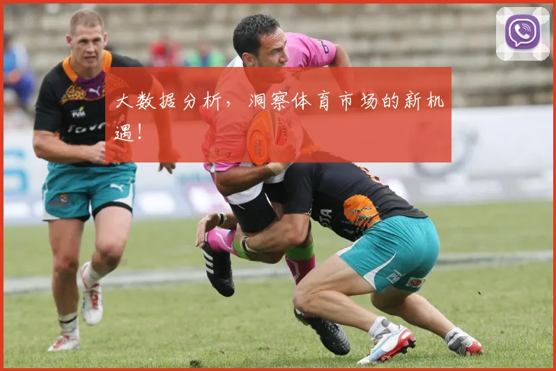 大数据分析，洞察体育市场的新机遇！