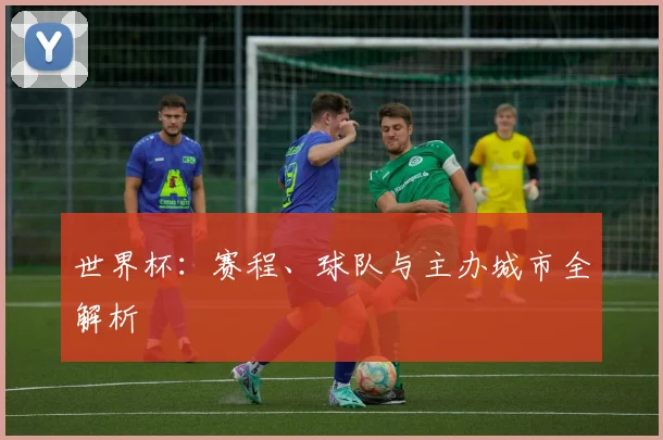 世界杯：赛程、球队与主办城市全解析
